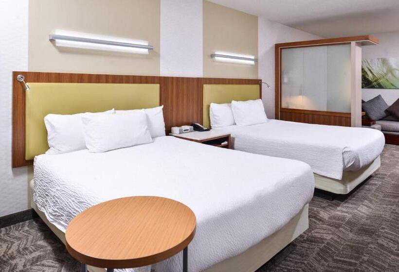 스탠다드 룸 더블 침대 2개, Springhill Suites Temecula Valley Wine Country