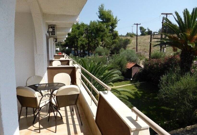 חדר סטודיו סטנדרד, Olympic Bibis