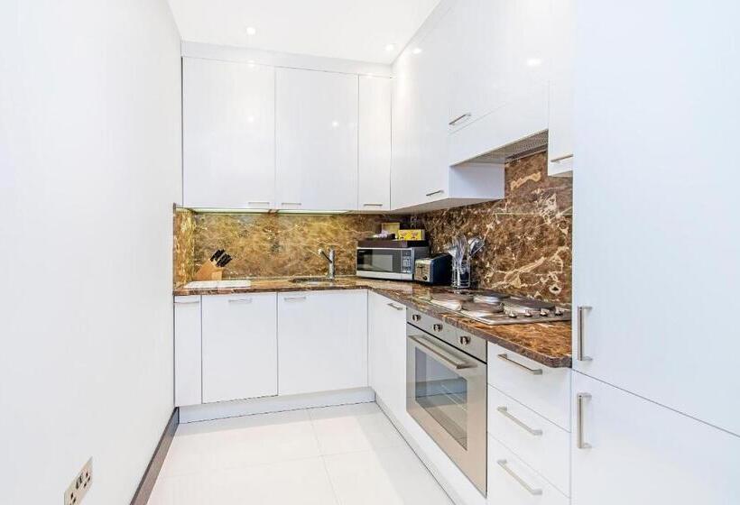 Апартаменты Deluxe 1 Спальня, 130 Queen S Gate Apartments