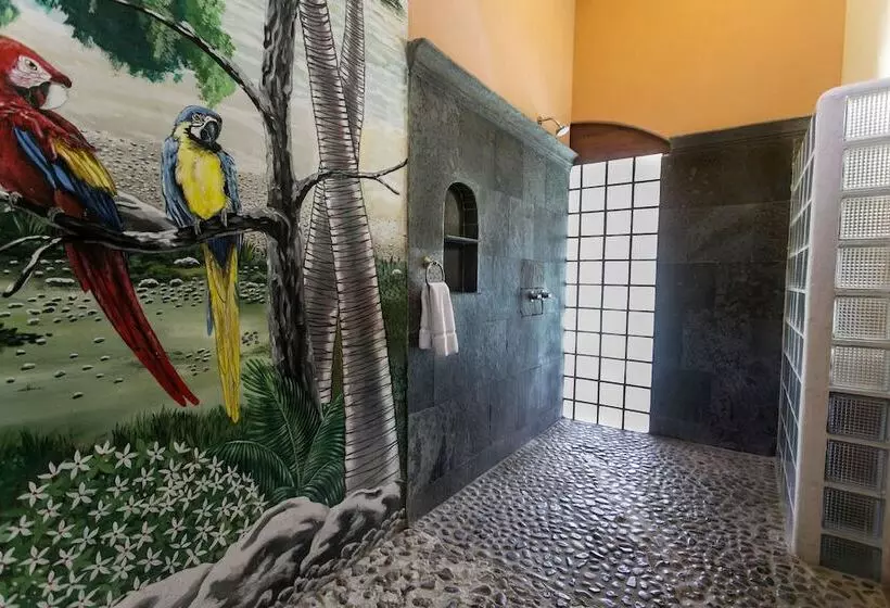 اتاق سوپریور, Casa Del Consulado