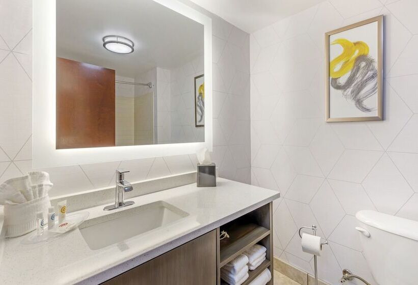 スイート, Comfort Suites Whitsett   Greensboro East