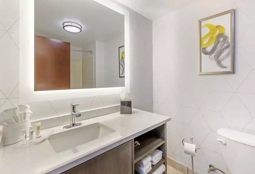 スイート, Comfort Suites Whitsett   Greensboro East