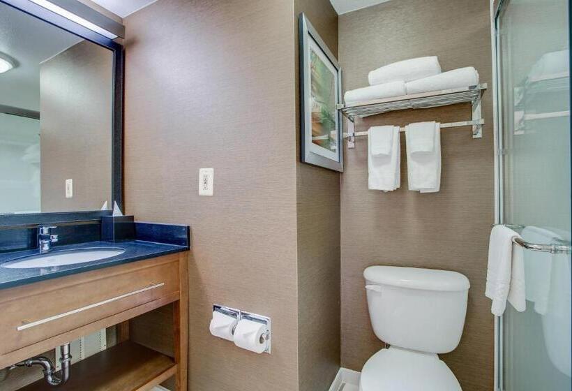 Номер Стандарт Кровать Кинг Адаптированный для Инвалидов, Fairfield Inn By Marriott Burlington Williston