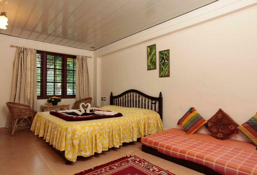 Номер Deluxe, Las Palmas