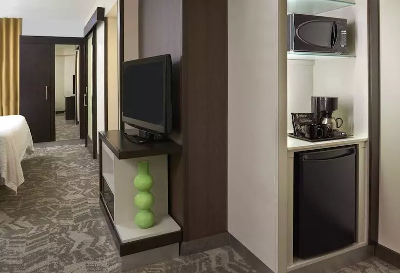 スイート, Springhill Suites By Marriott Toronto Vaughan