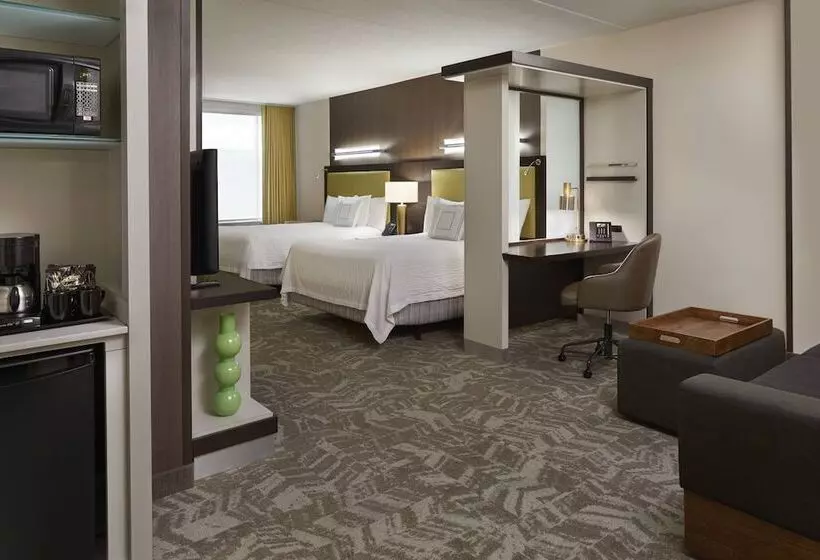 スイート, Springhill Suites By Marriott Toronto Vaughan