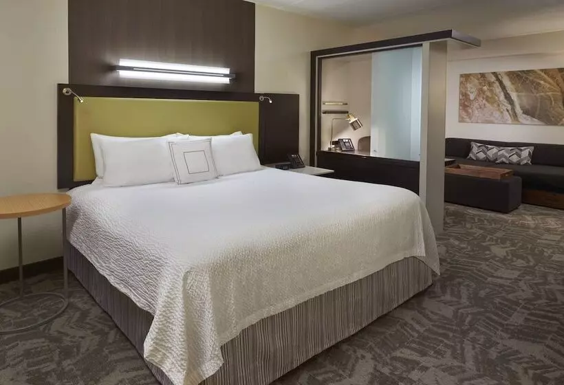 スイート, Springhill Suites By Marriott Toronto Vaughan