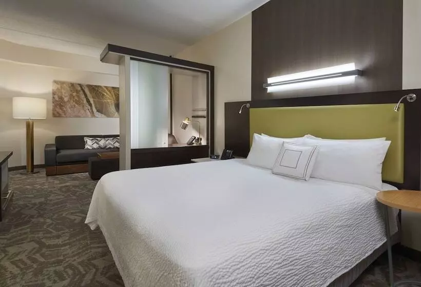 スイート, Springhill Suites By Marriott Toronto Vaughan