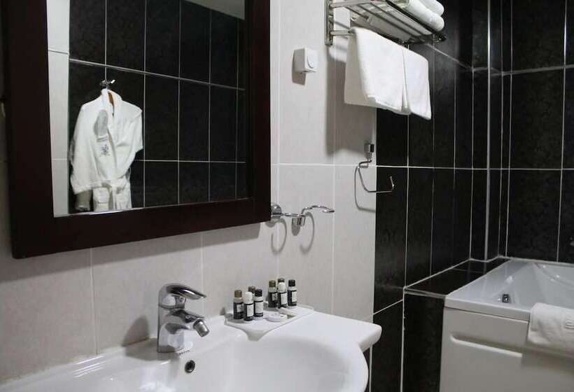 اتاق استاندارد یک نفره, Palace Appart Hôtel