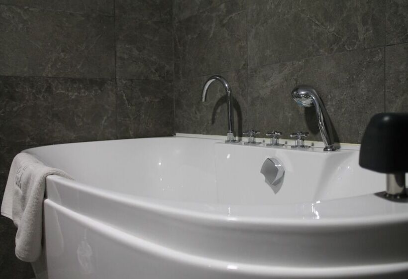 استودیوی استاندارد, Palace Appart Hôtel