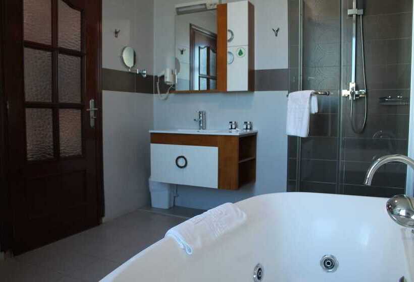 استودیوی استاندارد, Palace Appart Hôtel