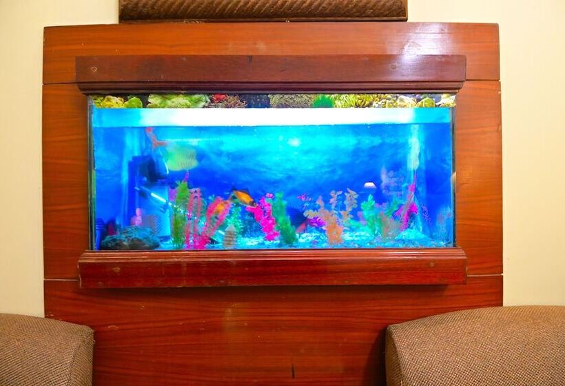 디럭스 룸, Hari Piorko