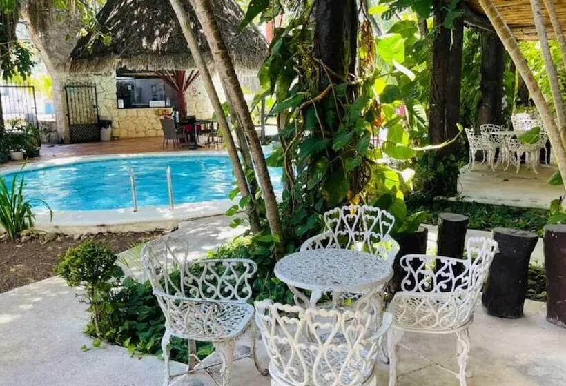 Standard-studio, Mayan Art Hotel 10 Avenue