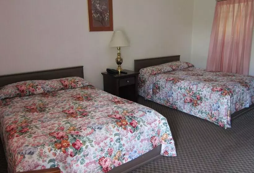スタンダードルーム, Cadet Motel
