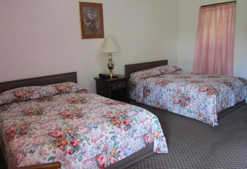 带2个双人床的标准工作室, Cadet Motel
