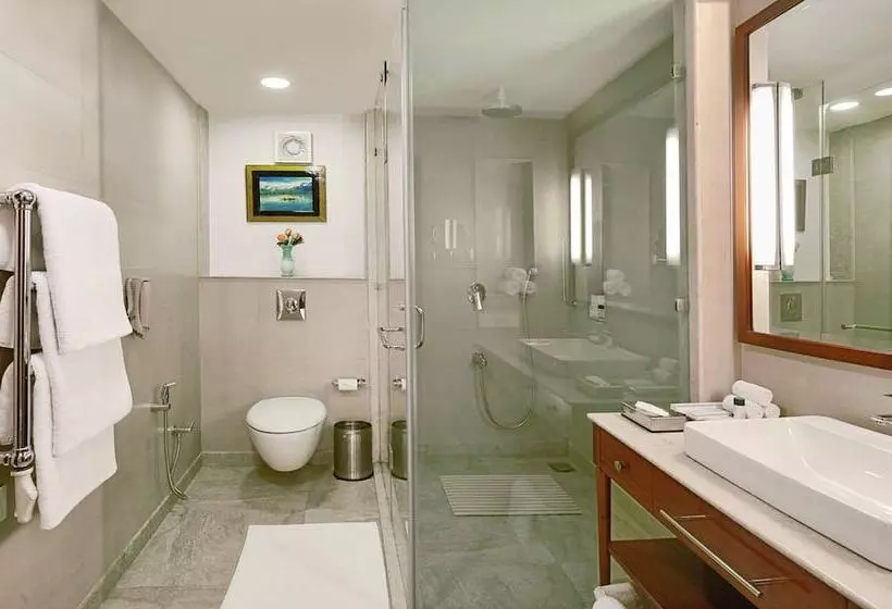 デラックススイート, Fortune Resort Heevan, Srinagar   Member Itc S Hotel Group