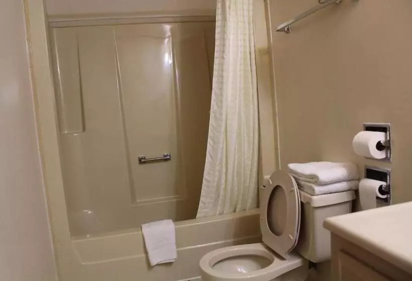 キングサイズベッドのスタンダードルーム, American Inn And Suites