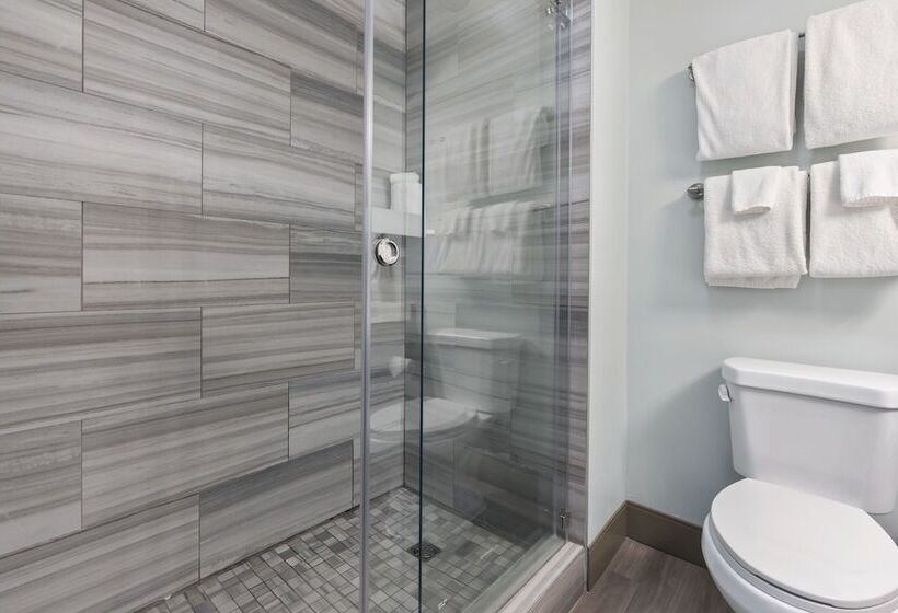 Люкс, Cherry Tree Inn & Suites