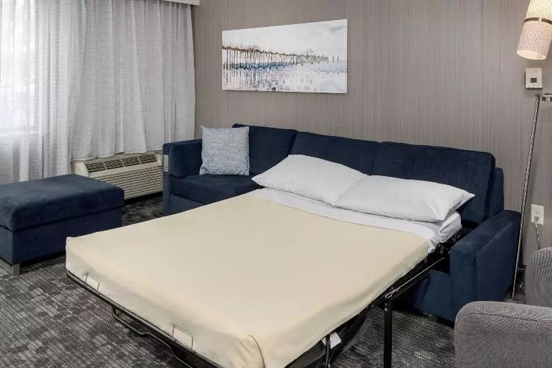 اتاق استاندارد با تخت بزرگ, Courtyard By Marriott San Diego Oceanside