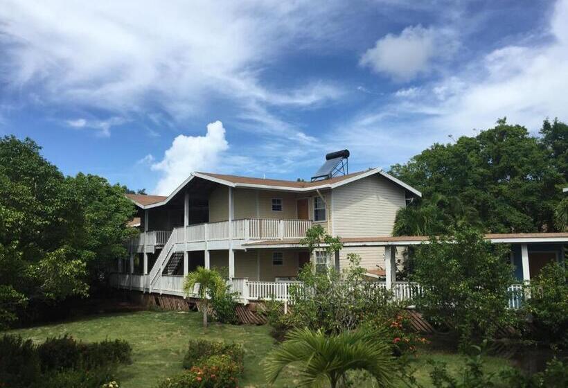 اتاق استاندارد با تخت بزرگ, Henry Morgan All Inclusive