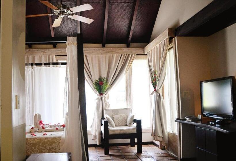 اتاق استاندارد با تخت بزرگ, Henry Morgan All Inclusive