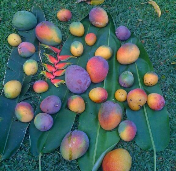 غرفة قياسية, Wailuku Guesthouse