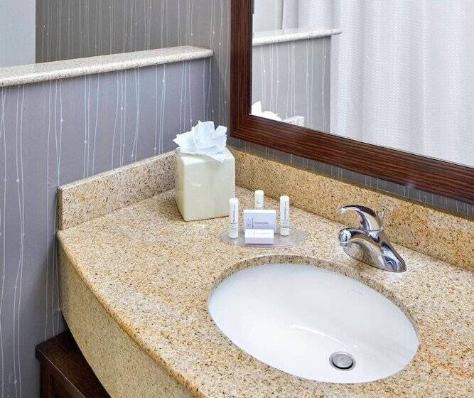 行政房间, Courtyard By Marriott San Antonio Six Flags At The Rim