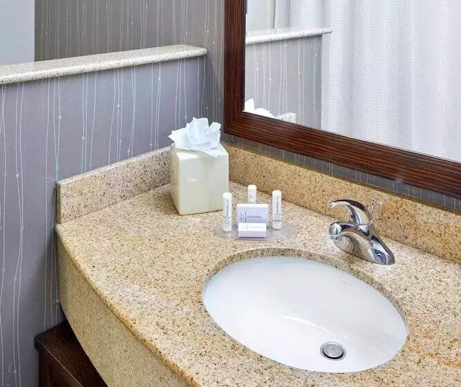 エクゼクティブルーム, Courtyard By Marriott San Antonio Six Flags At The Rim