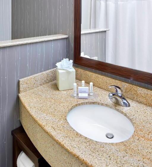 适合残疾人使用的标准间, Courtyard By Marriott San Antonio Six Flags At The Rim