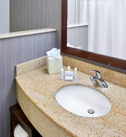 身障者適用スタンダードルーム, Courtyard By Marriott San Antonio Six Flags At The Rim