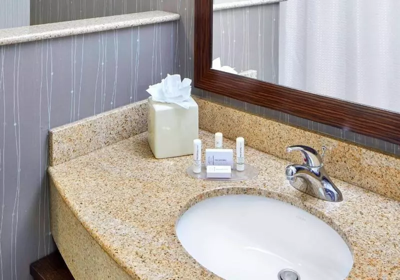キングサイズベッドのエクゼクティブルーム, Courtyard By Marriott San Antonio Six Flags At The Rim