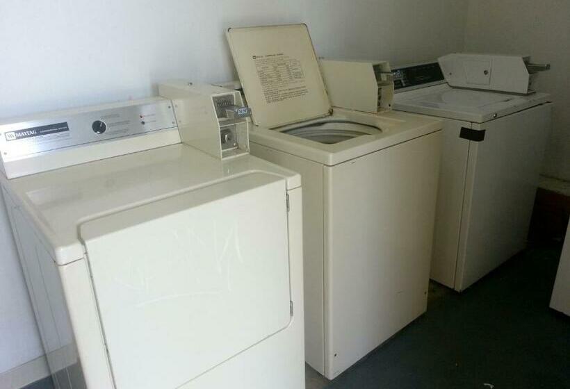 חדר סטנדרט עם מיטת קינג, Executive Inn Express Delhi