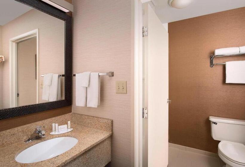 キングサイズベッドのスタンダードルーム, Fairfield Inn & Suites By Marriott Albuquerque Airport