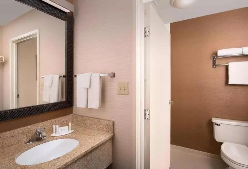 キングサイズベッドのスタンダードルーム, Fairfield Inn & Suites By Marriott Albuquerque Airport