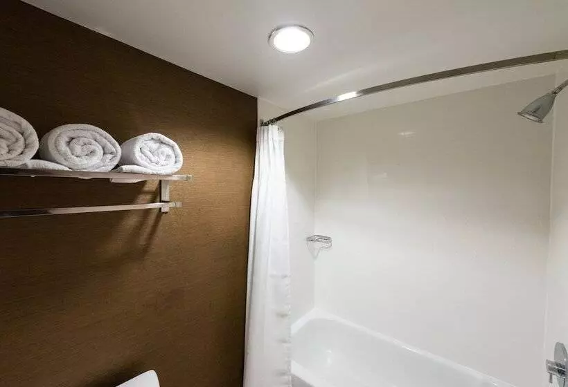 Standard Room 2 Double Beds