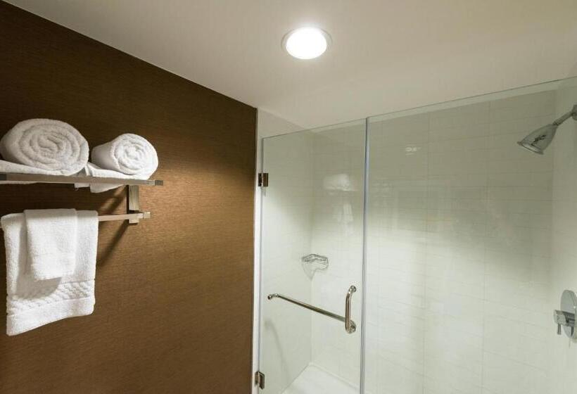 جناح جونيور سرير كينج, Fairfield Inn & Suites By Marriott Fort Myers Cape Coral