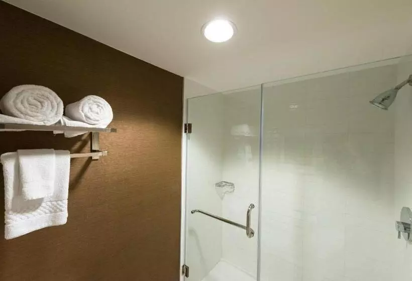 キングサイズベッドのジュニアスイート, Fairfield Inn & Suites By Marriott Fort Myers Cape Coral