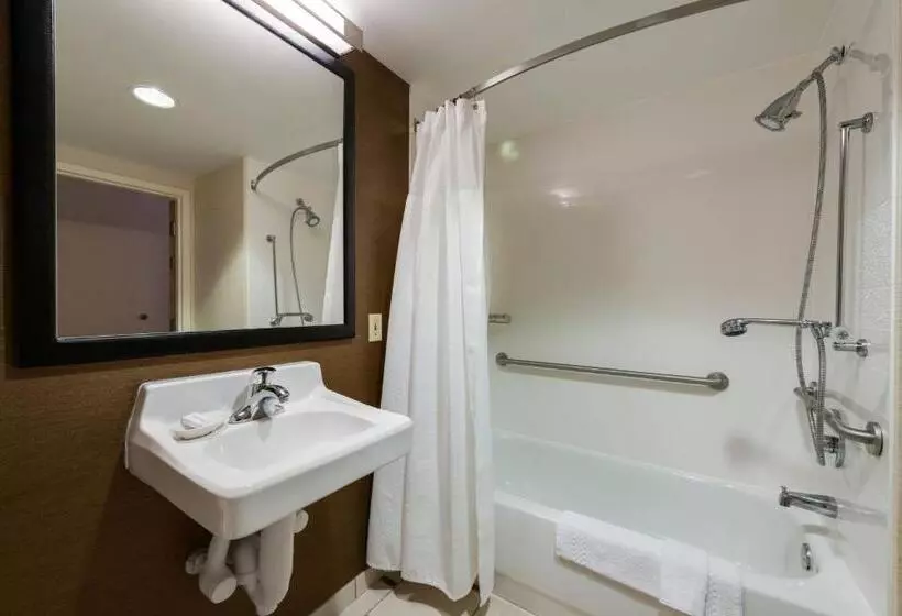 身障者適用キングサイズベッドルーム, Fairfield Inn & Suites By Marriott Fort Myers Cape Coral