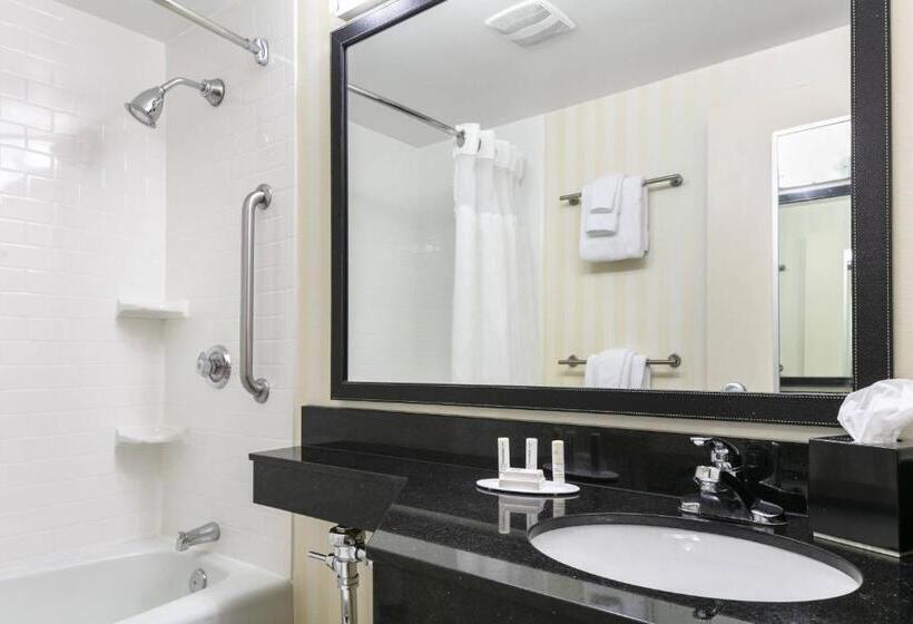 غرفه قياسيه سريرين مزدوجين, Chester Inn & Suites