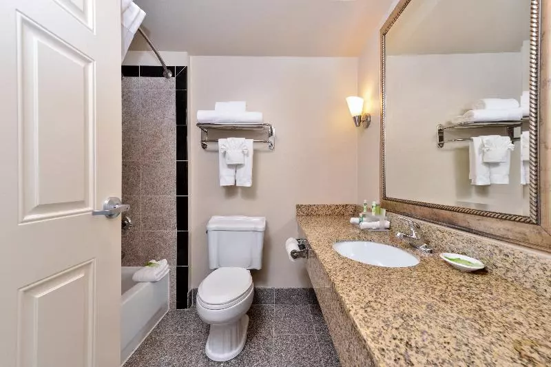 キングサイズベッドのスイートルーム, Holiday Inn Express & Suites Tacoma South   Lakewood, An Ihg