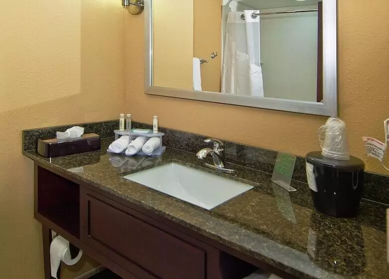 スイート, Holiday Inn Express & Suites Jackson / Pearl Intl Airport By Ihg
