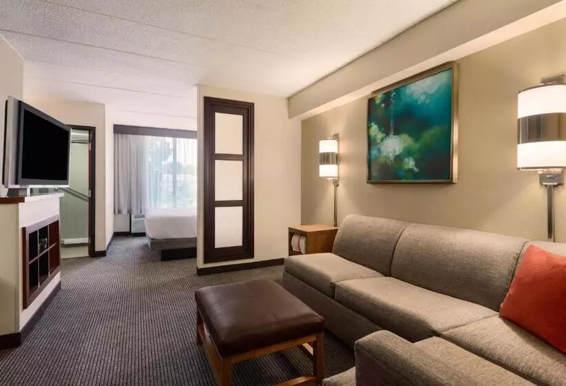 キングサイズベッドのスタンダードルーム, Hyatt Place Baltimore Owings Mills