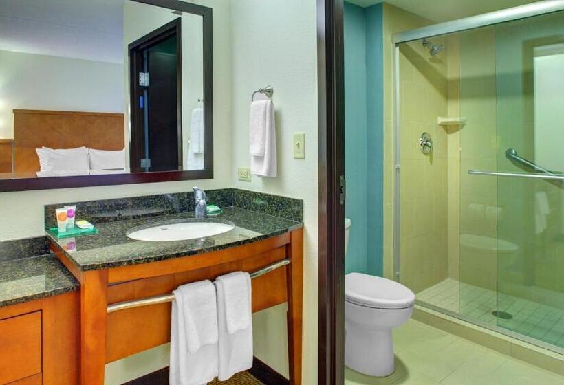 장애인을 위한 킹사이즈 침대 스탠다드 룸, Hyatt Place Baltimore Owings Mills
