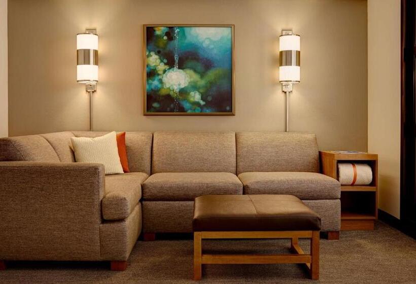 身障者適用キングサイズベッドルーム, Hyatt Place Richmond Chester