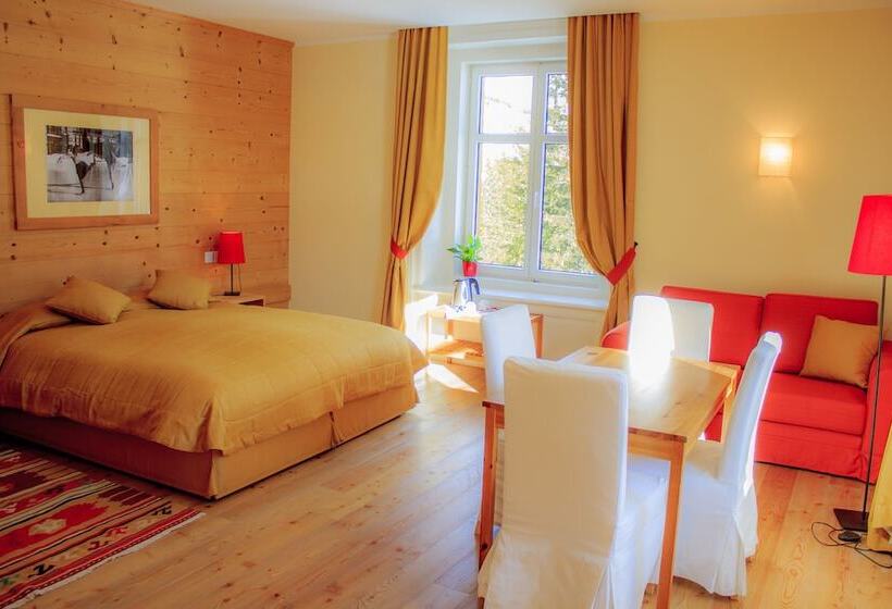 شقة ديلوكس غرفة واحدة, Maloja Palace