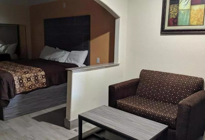 キングサイズベッドのスタンダードルーム, Regency Inn And Suites Galena Park