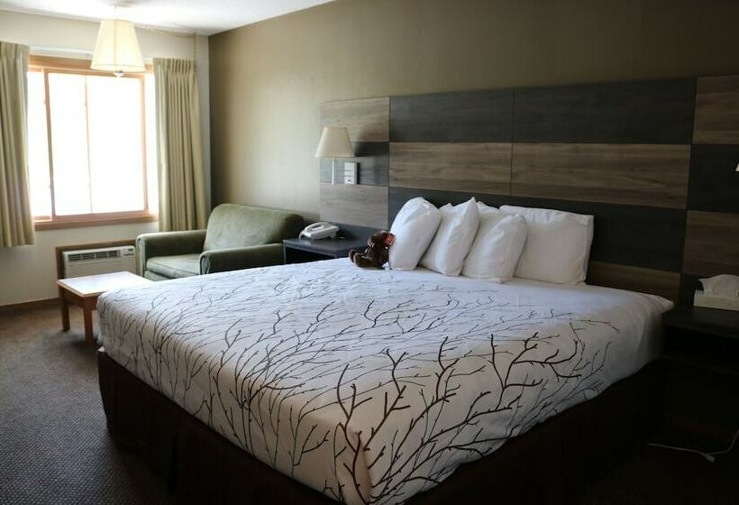 Номер Стандарт Двуспальная Кровать, Roosevelt Inn Mount Rushmore