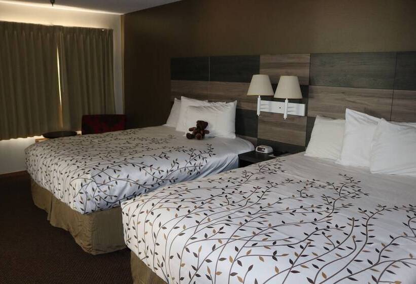 Family Suite, Roosevelt Inn Mount Rushmore