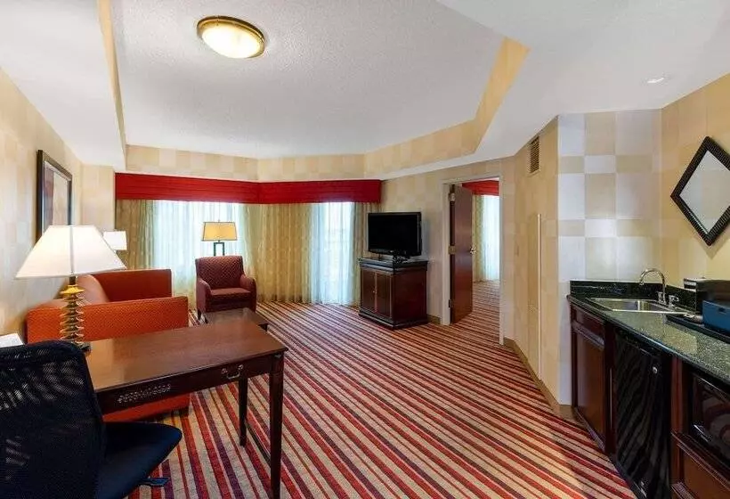スイート, Wyndham Grand Oklahoma City Downtown