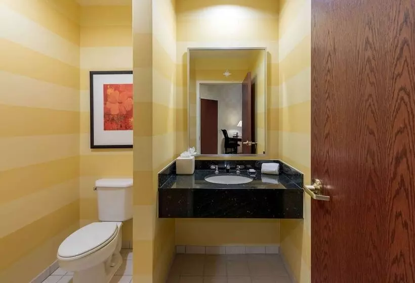 身障者適用スイートルーム, Wyndham Grand Oklahoma City Downtown